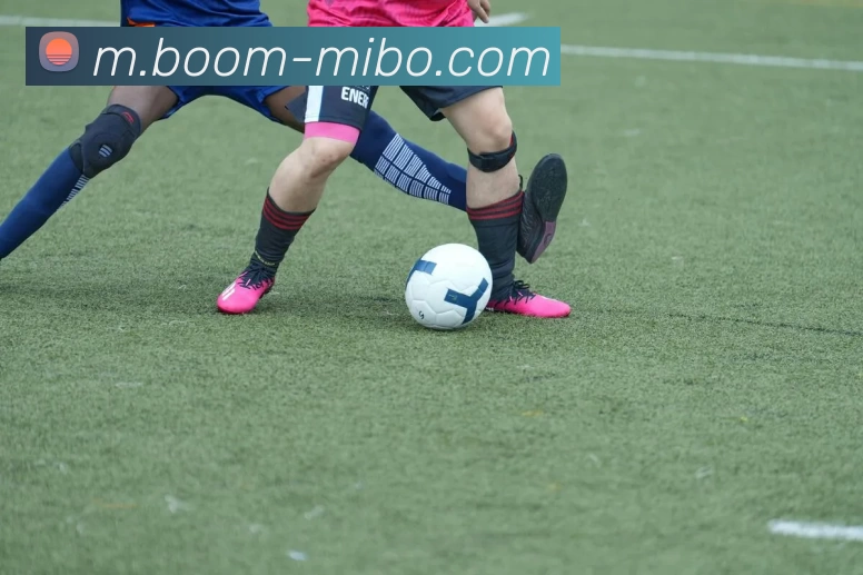 米博体育平台生态图